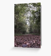 Fallen Leaves Trail Walk Greeting Card