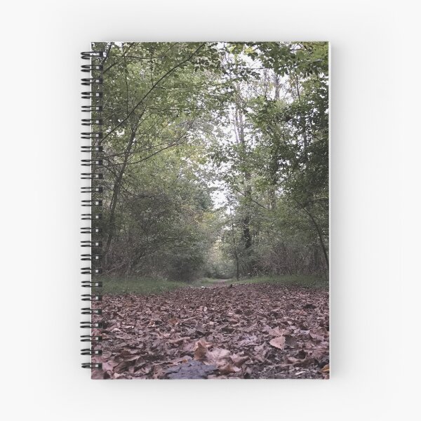 Item preview, Fallen Leaves Trail Walk designed and sold by tdjeff02.