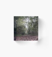 Fallen Leaves Trail Walk Acrylic Block