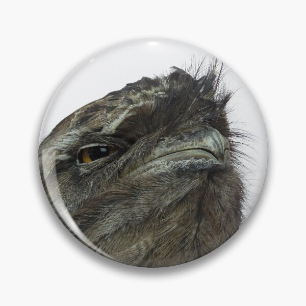 Item preview, Tawny frogmouth designed and sold by KakapoKrafts.