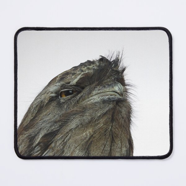 Item preview, Tawny frogmouth designed and sold by KakapoKrafts.