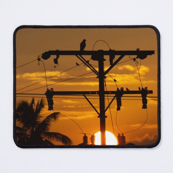 Item preview, Silhouette of a bird perched on a power line at sunset designed and sold by ricobarinas.