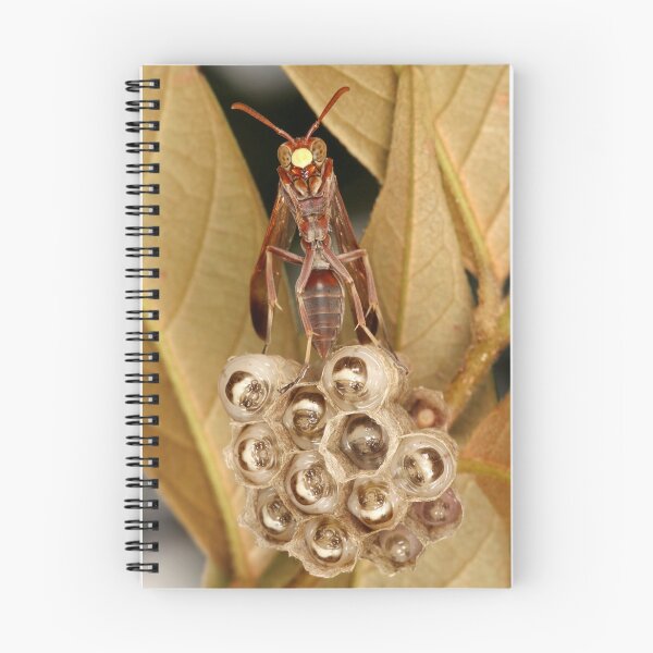 Item preview, Paper Wasp designed and sold by itchydogimages.