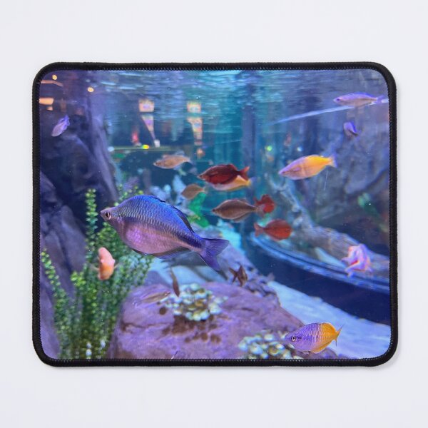 Item preview, Fresh designed and sold by Nvision.
