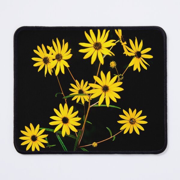 Item preview, Daisies designed and sold by Joe Saladino.