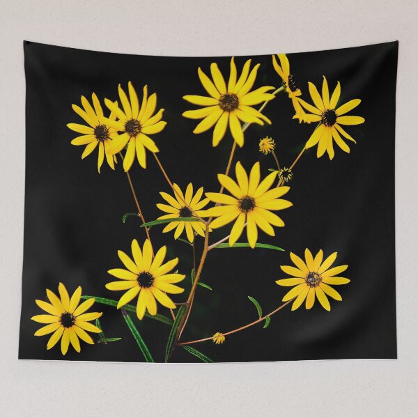 Item preview, Daisies designed and sold by Joe Saladino.
