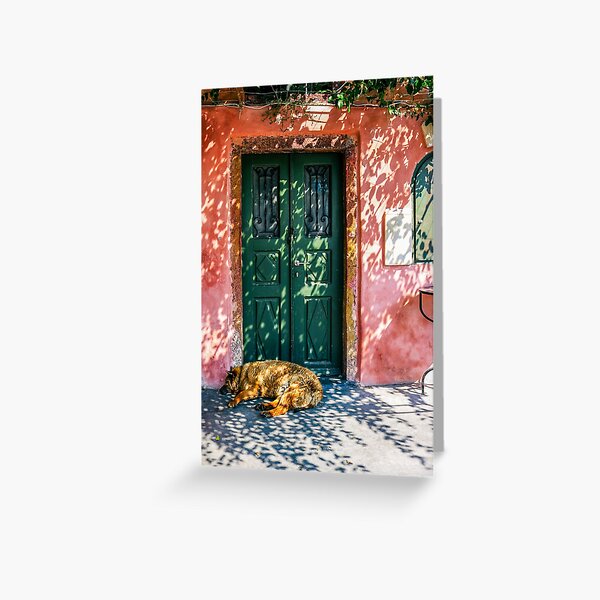 Dog sitting by door in Santorini, Greece Greeting Card