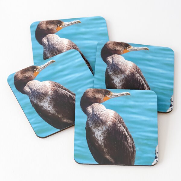 Item preview, Australian cormorant bird 33 designed and sold by kevin Chippindall.