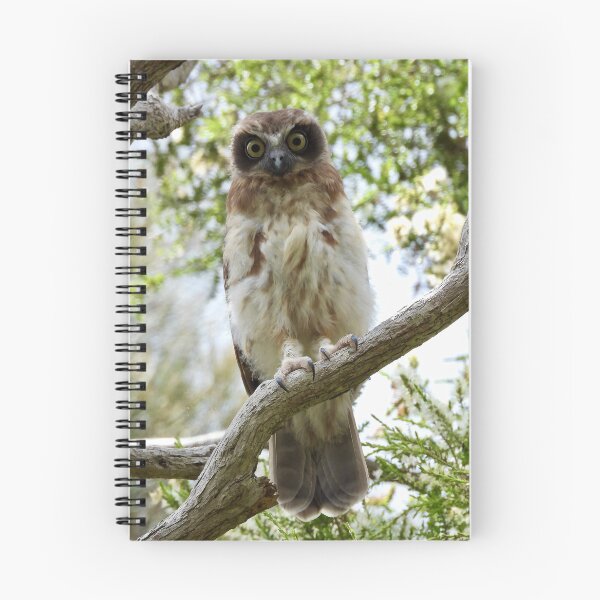 Item preview, Southern Bookbook intense look designed and sold by Mark Grimsley.
