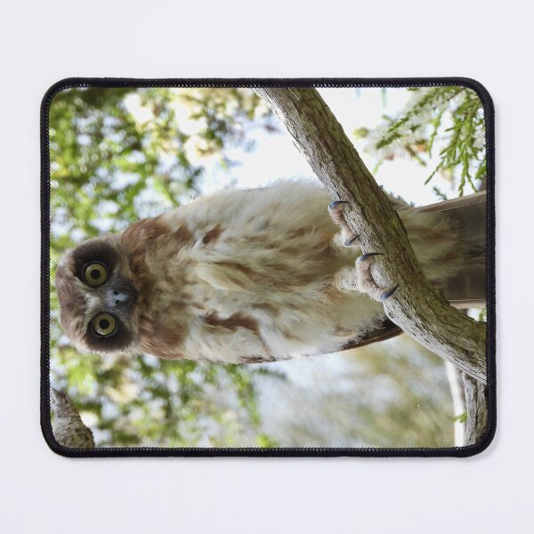 Item preview, Southern Bookbook intense look designed and sold by Mark Grimsley.