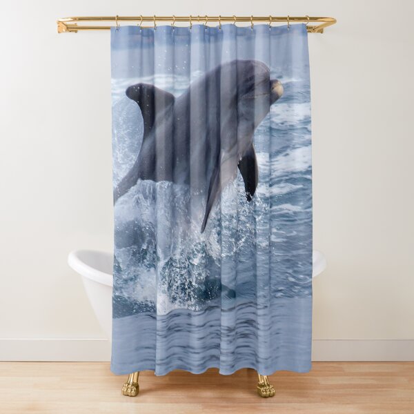 Bottlenose dolphin (Tursiops truncatus) surfing the waves Shower Curtain