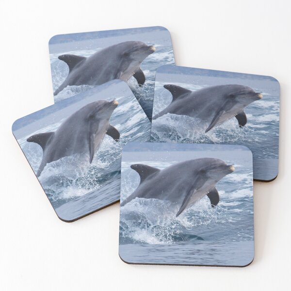 Item preview, Bottlenose dolphin (Tursiops truncatus) surfing the waves designed and sold by Chloé Yzoard.