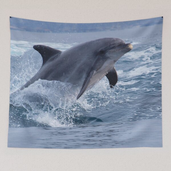 Item preview, Bottlenose dolphin (Tursiops truncatus) surfing the waves designed and sold by Chloé Yzoard.