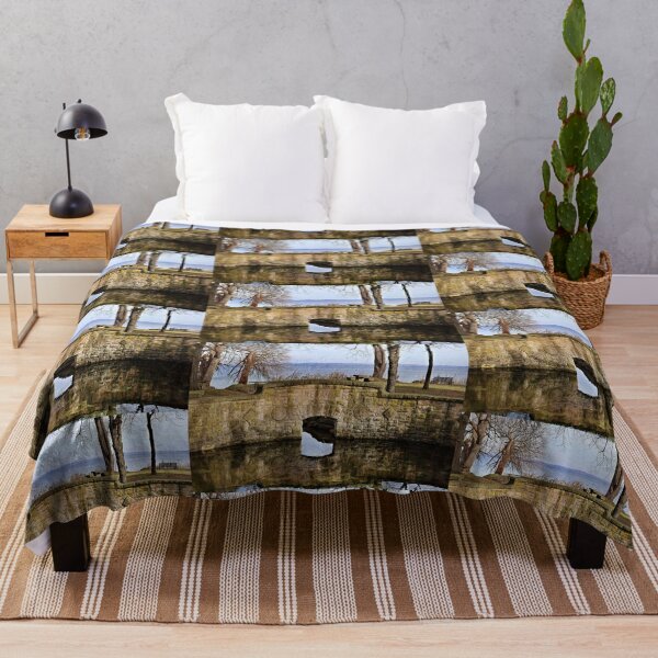 Item preview, Old Cistern Along Shore of Lake Mendota designed and sold by Martha Sherman.