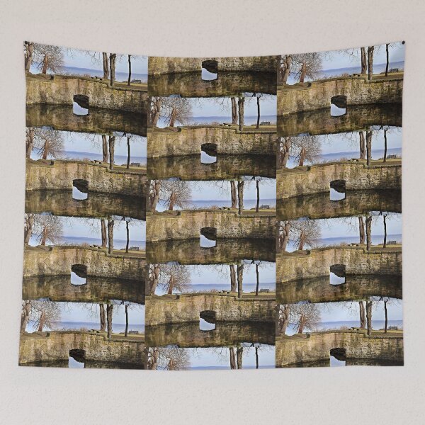 Item preview, Old Cistern Along Shore of Lake Mendota designed and sold by Martha Sherman.