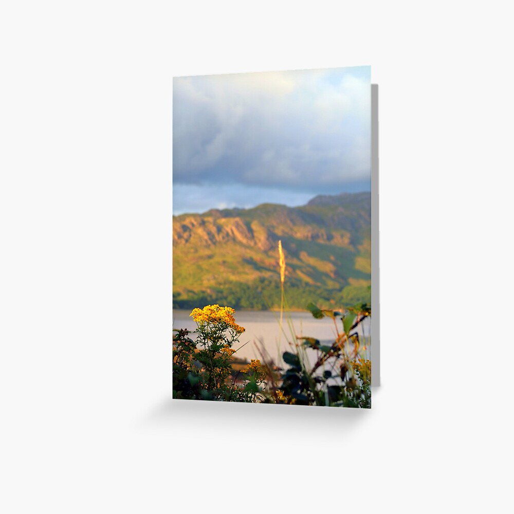 Sunlight Yellow Greeting Card