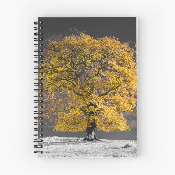 Item preview, Yellow Tree designed and sold by assaf.