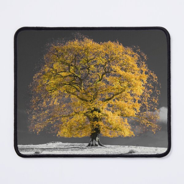 Item preview, Yellow Tree designed and sold by assaf.