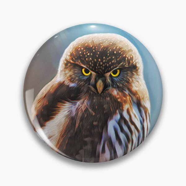 Item preview, Northern Pygmy Owl Bird Of Prey designed and sold by Heathermarie321.