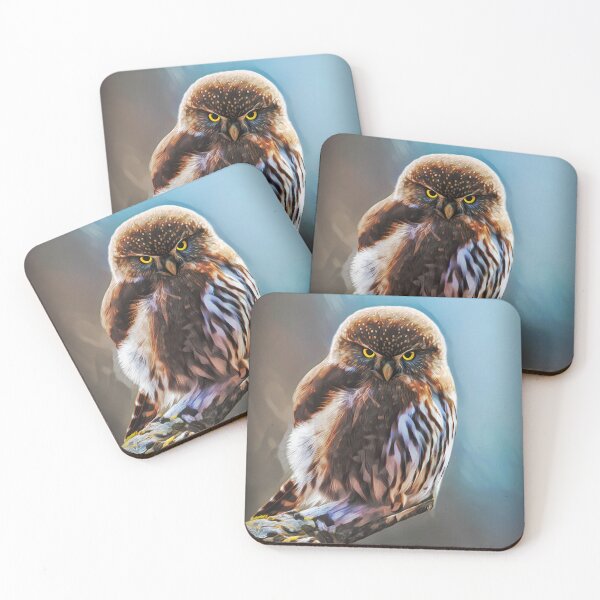 Item preview, Northern Pygmy Owl Bird Of Prey designed and sold by Heathermarie321.