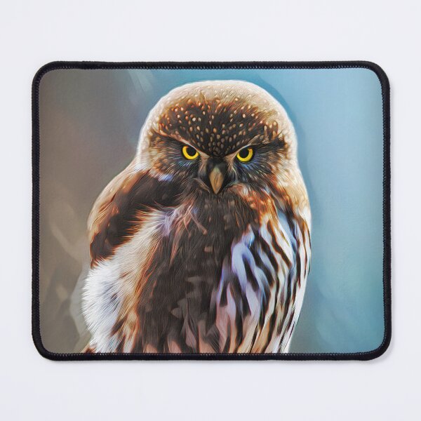 Item preview, Northern Pygmy Owl Bird Of Prey designed and sold by Heathermarie321.
