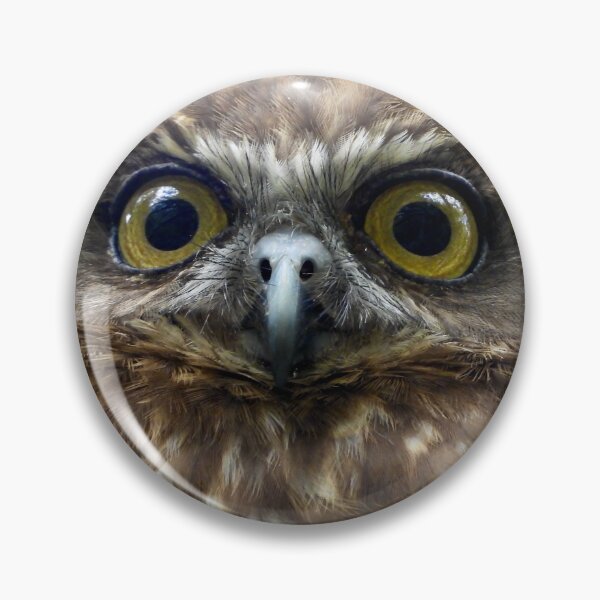 Item preview, Southern Bookbook intense stare  designed and sold by Mark Grimsley.