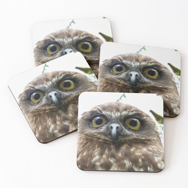 Item preview, Southern Bookbook intense stare  designed and sold by Mark Grimsley.