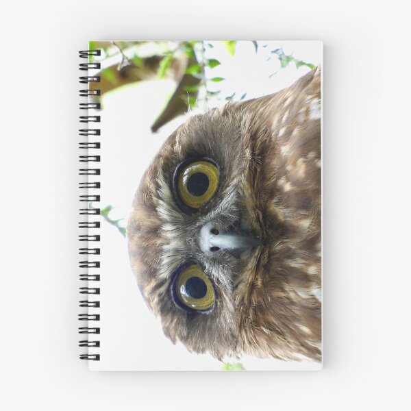 Item preview, Southern Bookbook intense stare  designed and sold by Mark Grimsley.