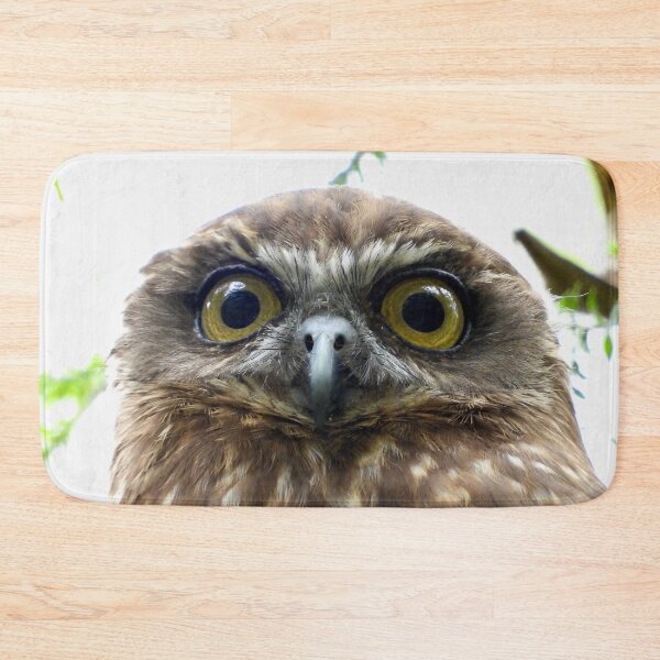 Item preview, Southern Bookbook intense stare  designed and sold by Mark Grimsley.
