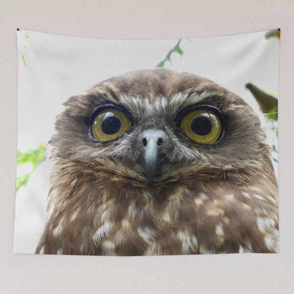 Item preview, Southern Bookbook intense stare  designed and sold by Mark Grimsley.