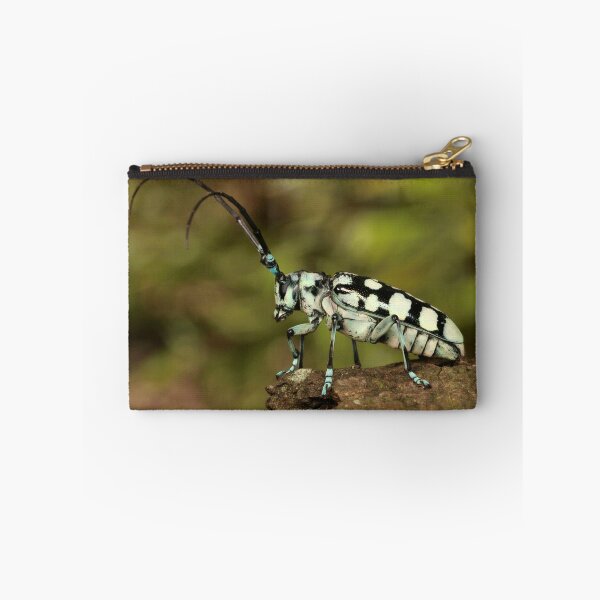 Item preview, Longhorn Beetle 2 designed and sold by itchydogimages.
