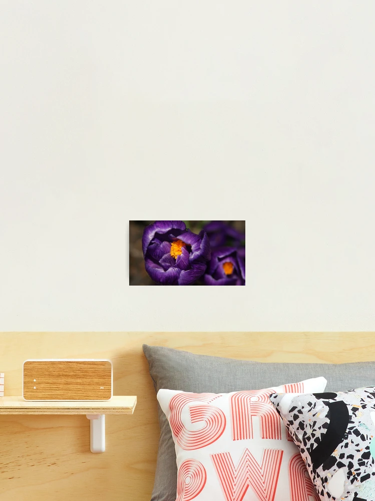 Thumbnail 2 of 3, Photographic Print, Spring designed and sold by Rebecca Gleffe.