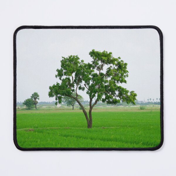 Item preview, Beautiful Tree in the paddy field designed and sold by GuruKde.