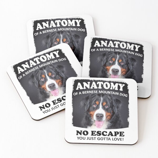 Artikelvorschau, Anatomie eines Berners - Berner-Liebhaber-T-Shirt entworfen und verkauft von irek07.