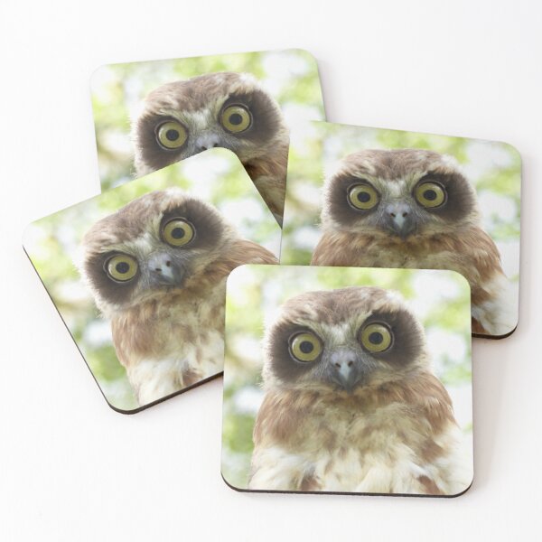 Item preview, Young Southern Bookbook intense stare  designed and sold by Mark Grimsley.