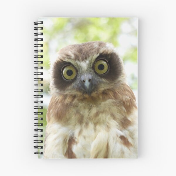 Item preview, Young Southern Bookbook intense stare  designed and sold by Mark Grimsley.