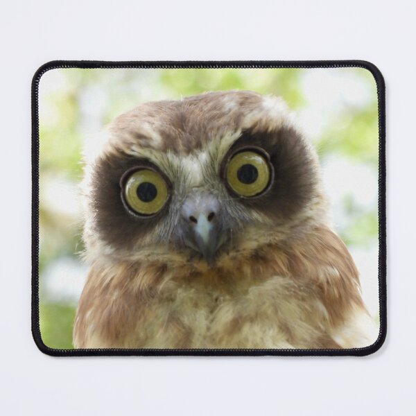 Item preview, Young Southern Bookbook intense stare designed and sold by Mark Grimsley.