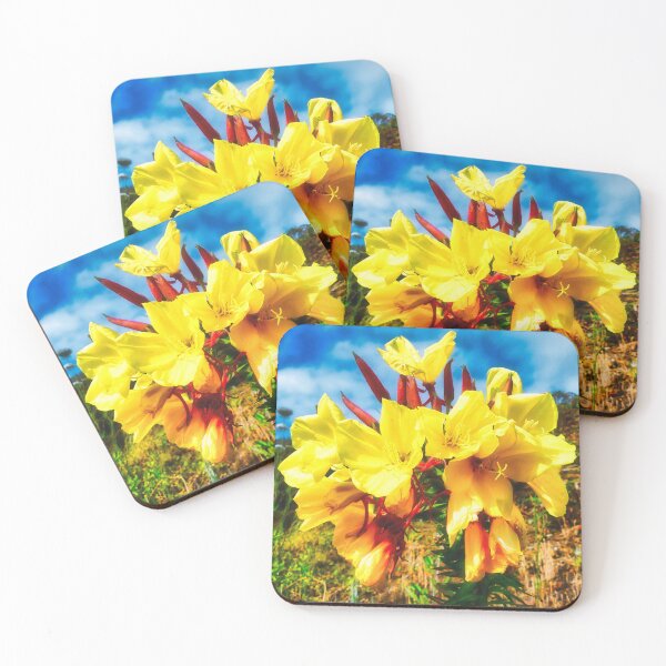 Item preview, Hooker's Evening Primrose Flowers designed and sold by Marco Sales.