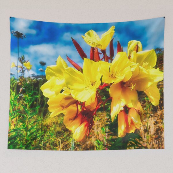 Item preview, Hooker's Evening Primrose Flowers designed and sold by Marco Sales.
