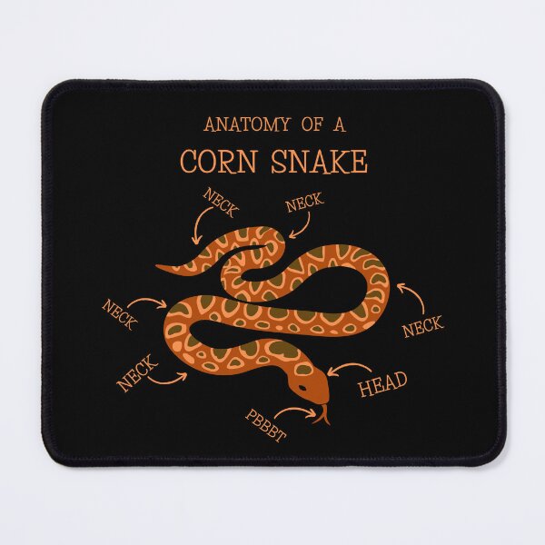 Item preview, Funny Corn Snake T-Shirt and Gifts For Snake Lover, Cute Reptile T-shirt, Funny Snake Anatomy Design designed and sold by Kenny789.