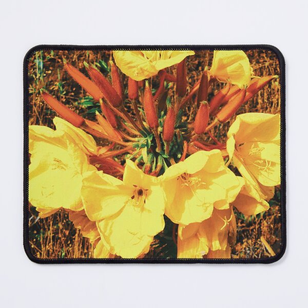 Item preview, Hooker's Wild Blossoms in the Wild designed and sold by Marco Sales.