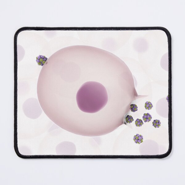 Item preview, STK701423H-Norovirus entering cell and replicating to new viruses. designed and sold by StocktrekImages.