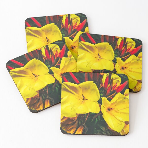 Item preview, Hookers Evening Primrose Yellow Flower designed and sold by Marco Sales.
