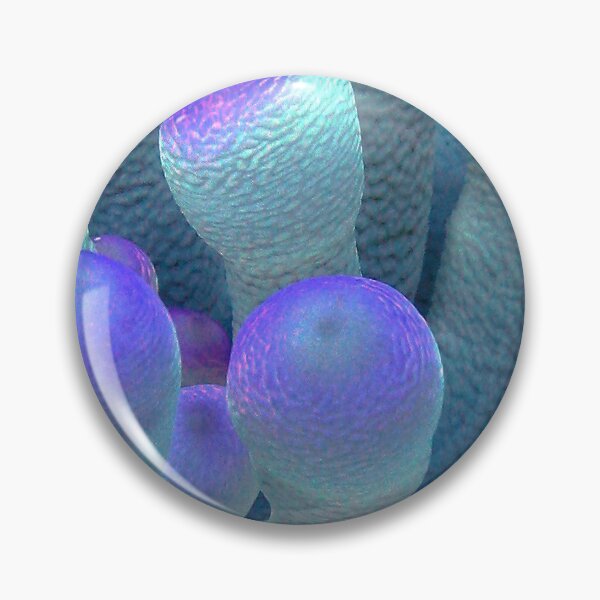 Item preview, Anemone Masculinity designed and sold by amosgazit.