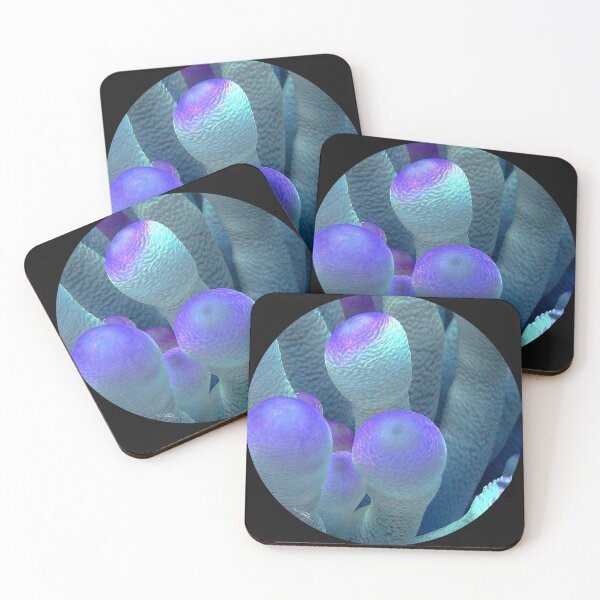 Item preview, Anemone Masculinity designed and sold by amosgazit.