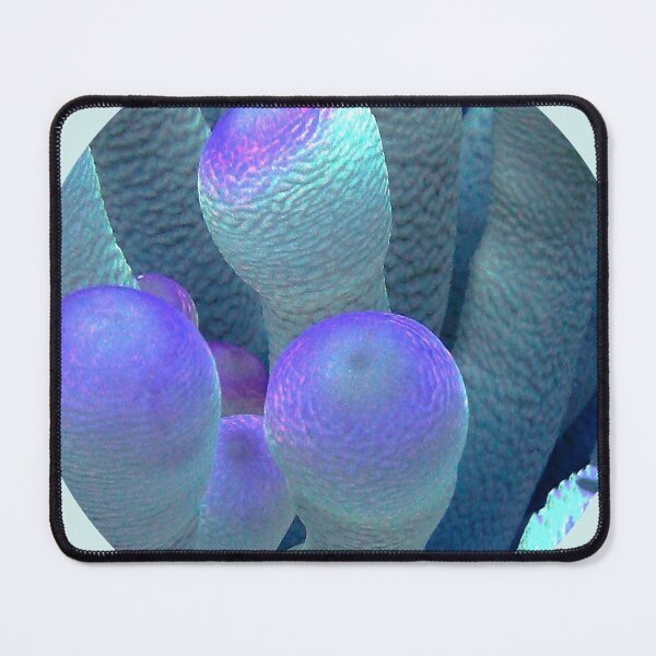 Item preview, Anemone Masculinity designed and sold by amosgazit.