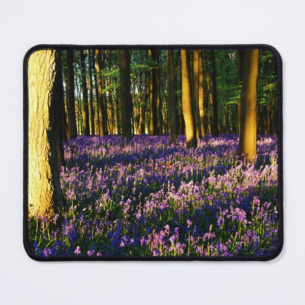 Item preview, Bluebell Woods at Sunset designed and sold by Mark Greenwood.