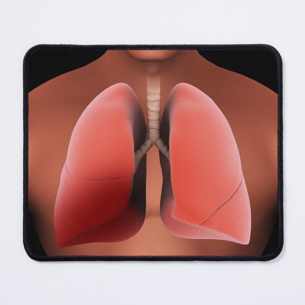 Item preview, STK701437H-Inflammation in the human lungs. designed and sold by StocktrekImages.