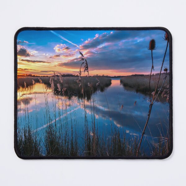 Item preview, Reeds and Reflections designed and sold by mhfore.