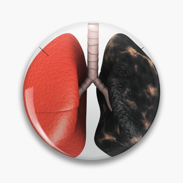 Item preview, STK701441H-Healthy lung vs. a smoker's lung. designed and sold by StocktrekImages.